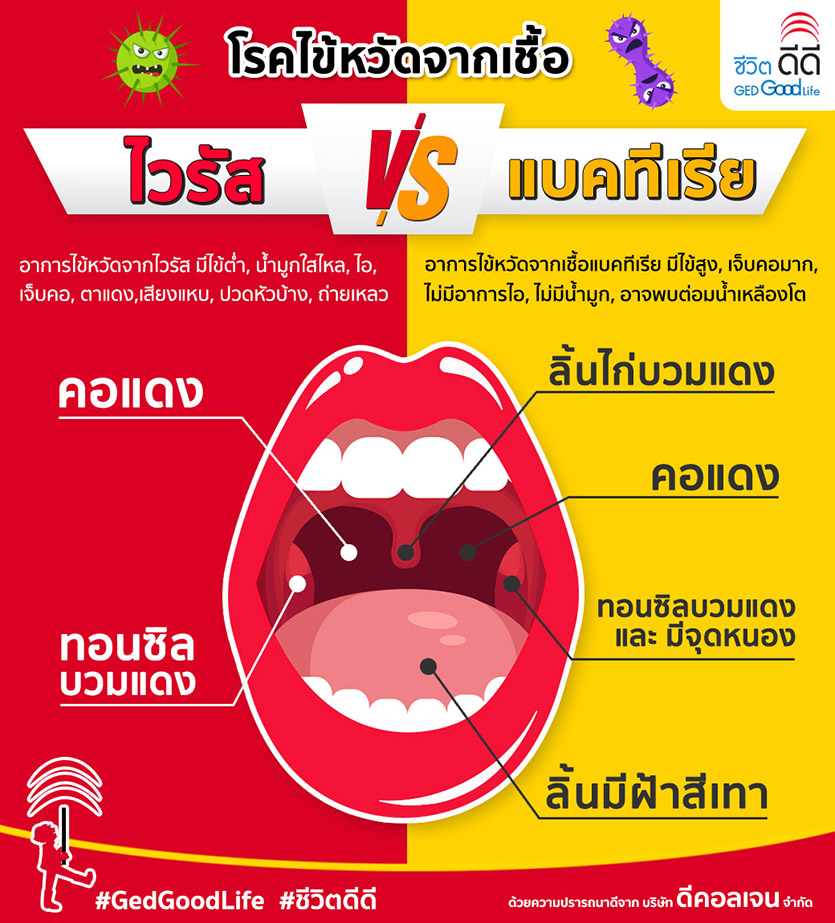 ไวรัส VS แบคทีเรีย